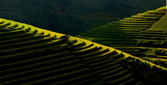 Chiêm ngưỡng những ruộng bậc thang với nhiều màu sắc