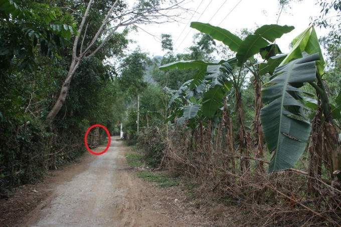 Địa điểm khoanh đỏ nơi phát hiện thi thể ông H.