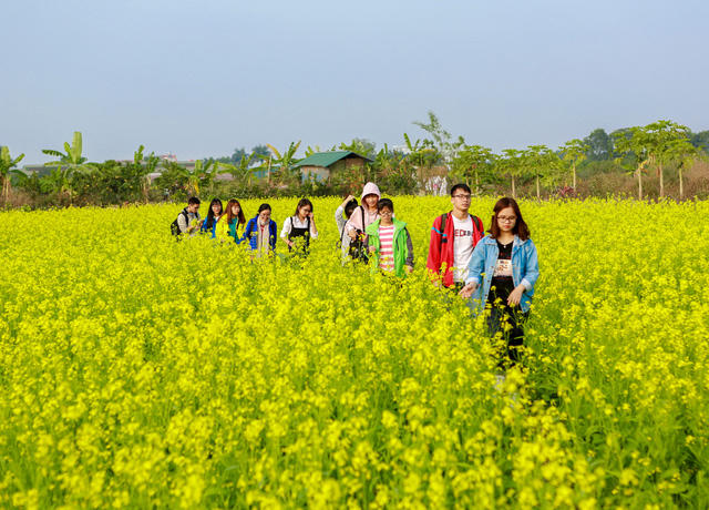 Các nam thanh nữ tú tới đây đã có ý thức hơn trong việc giữ gìn khung cảnh thơ mộng, không có tình trạng hái hoa tùy tiện hoặc dẫm nát hoa như vài năm trước.