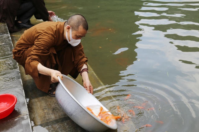 Sau lễ Phật đản mọi người cùng nhau thả cá phóng sinh.