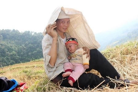 Phút nghỉ ngơi giữa mùa gặt.