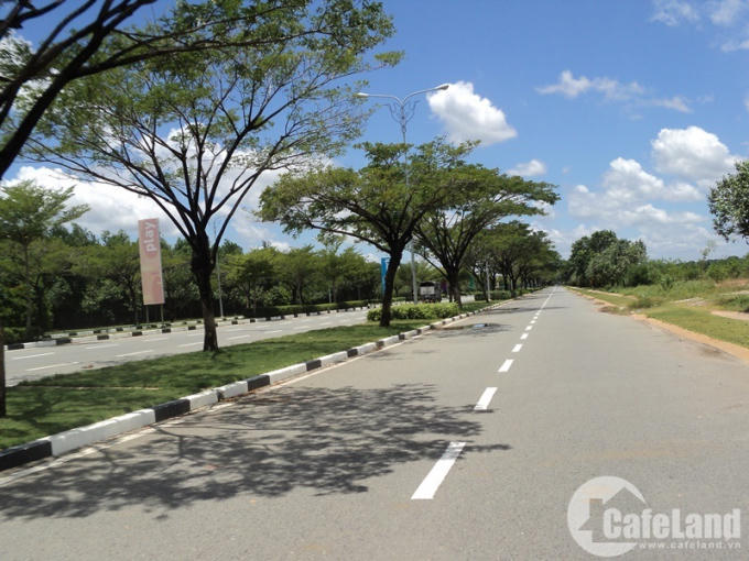 Hạ tầng bên trong dự án khá đẹp