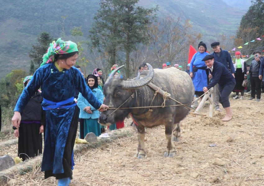 Lễ "Xuống đồng" là nét đẹp văn hóa truyền thống của đồng bào dân tộc Giáy nơi địa đầu Lũng Cú.