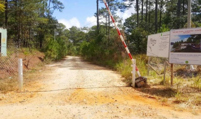 Lộ hàng loạt tỉnh miền Trung xin chuyển đất rừng tự nhiên sang dự án