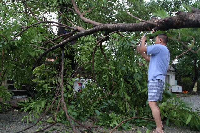 Người dân ra tỉa cây chắn ngang đường