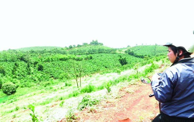 Phanh phui việc biến 'đất công' thành 'đất ông' - ảnh 1