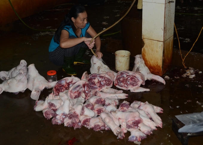 Đây được xem là lò giết mổ tập trung lớn nhất trên địa bàn tỉnh Nghệ An.