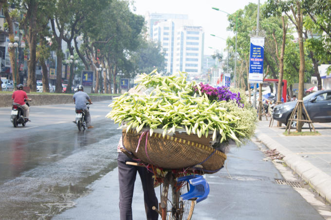 Tháng tư trên khắp các ngả đường chúng ta luôn bắt gặp những xe hàng rong ruổi trên các con phố làm ai nhìn thấy cũng phải xốn xang, yêu đời.