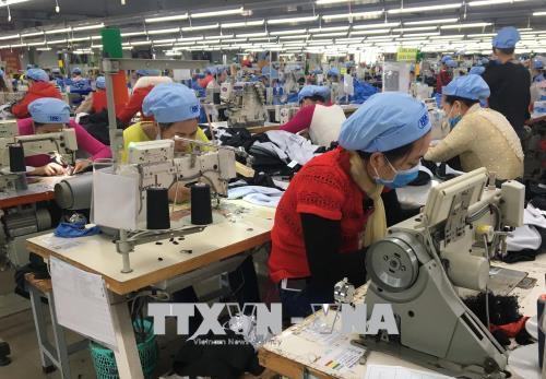 Người lao động là công dân nước ngoài làm việc tại Việt Nam thuộc đối tượng tham gia bảo hiểm xã hội bắt buộc. Ảnh minh họa: Quốc Việt - TTXVN