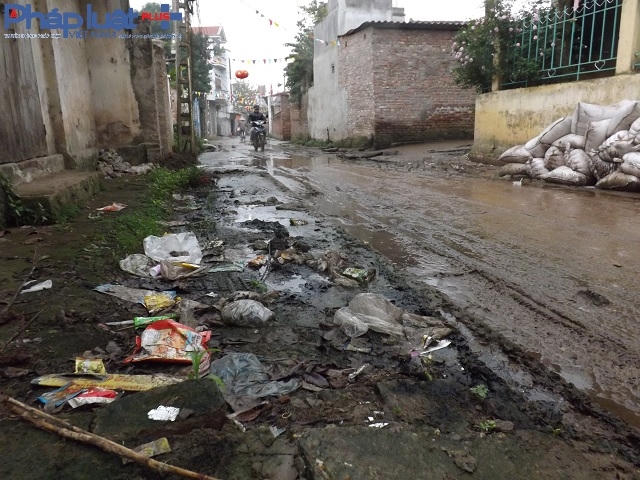 Xác động vật, phân thải động vật, rác rưởi bủa vây Trường Mầm non thôn Chi Đông.