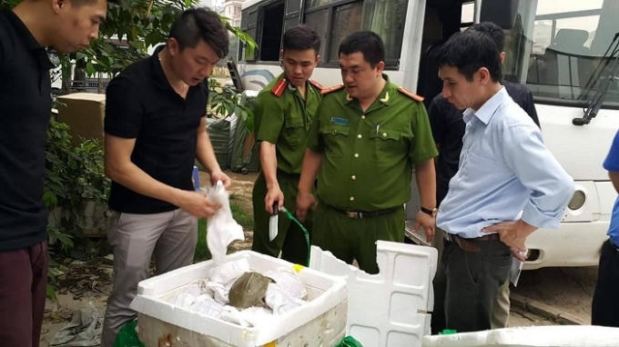 Cơ quan chức năng phát hiện hơn 2 tạ ba ba Trung Quốc nhập lậu.