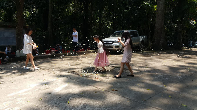 Thời điểm bướm nở rộ cũng là lúc rừng Cúc Phương thu hút đông các bạn trẻ đến tham quan nhất. Đây là cơ hội hiếm có để mọi người lưu giữ lại những khoảnh khắc đặc biệt có một không hai này.