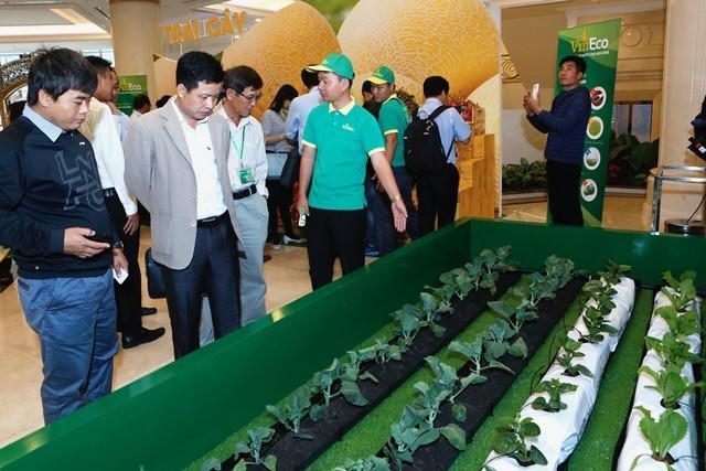 Các hộ sản xuất tham quan mô hình trồng rau công nghệ cao của VinEco.