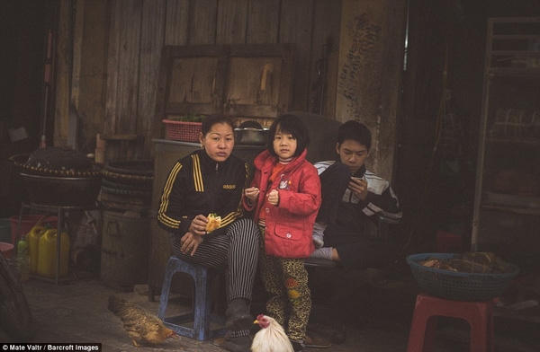 Sự bình yên đến vắng lặng của một góc phố thủ đô.