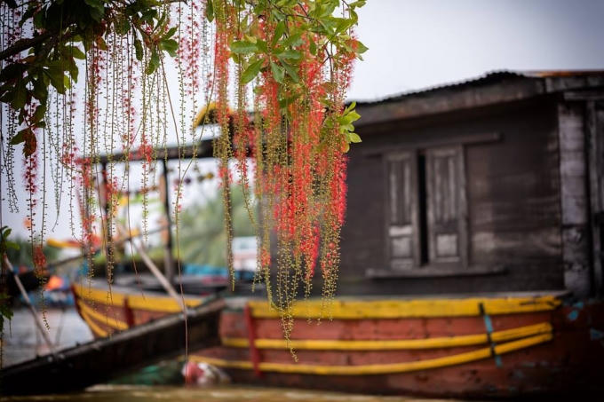 Ngỡ ng&agrave;ng vẻ đẹp của Hội An