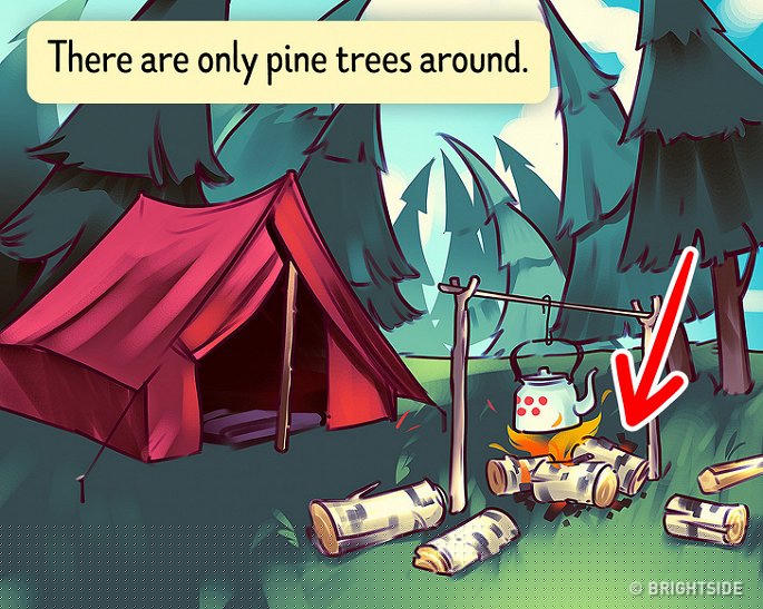 Do ban tim ra diem bat thuong o buc tranh sau trong 30 giay? hinh anh 11