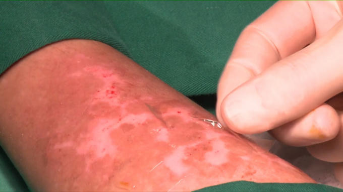 be9ed32673579709ce46