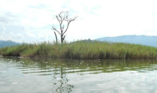 Đ&acirc;y l&agrave; nơi b&agrave; Mauda Kyitaragabirwe su&yacute;t bị chết đ&oacute;i.