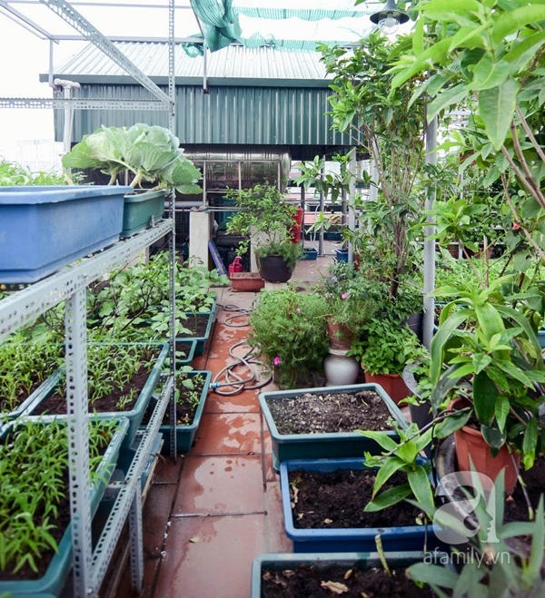 Bên trên có mái che để tránh nắng.