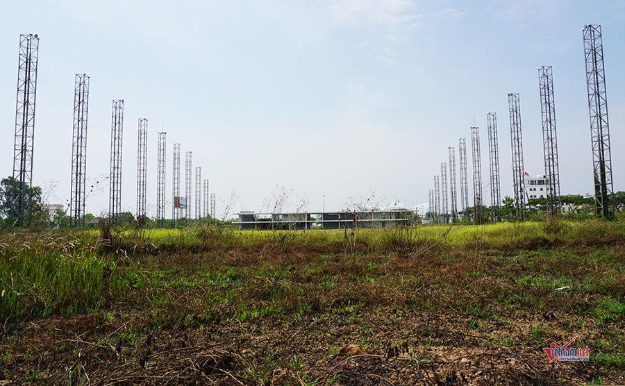 Cây cối mọc um tùm