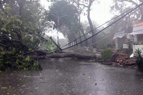 B&atilde;o số 12: Phó Thủ tướng Trịnh Đình Dũng chỉ huy ứng phó bão