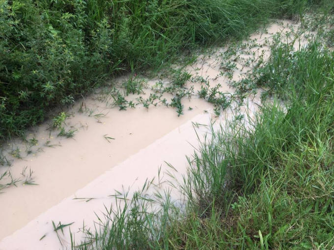 Thường xuyên xả thải ra mương thoát nước.