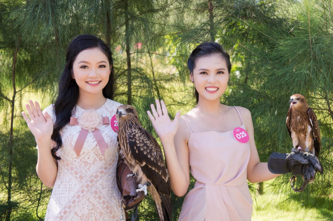 Nhiều thí sinh không giấu được sự hào hứng khi lần đầu tiên được quan sát và tiếp cận gần với các loài động vật từ hoang dã như đại bàng, lạc đà đến những thú cưng gần gũi như dê, vẹt… Đây cũng là một trong những trải nghiệm thu hút du khách nhất tại FLC Zoo Safari Park, giúp nâng cao ý thức gìn giữ, bảo tồn động vật hoang dã nói riêng và thiên nhiên nói chung.