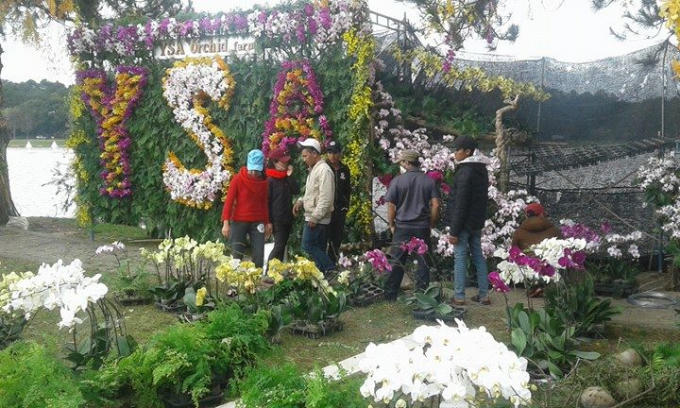 Nhiều gian trưng bày hoa bước vào giai đoạn gấp rút.