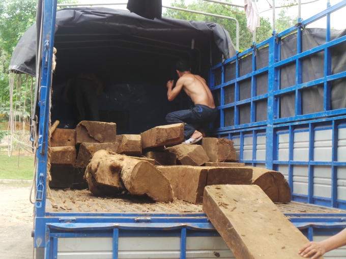 Xe tải chở gỗ không rõ nguồn gốc đã bị bắt khi đã chạy qua rất nhiều trạm kiểm lâm.
