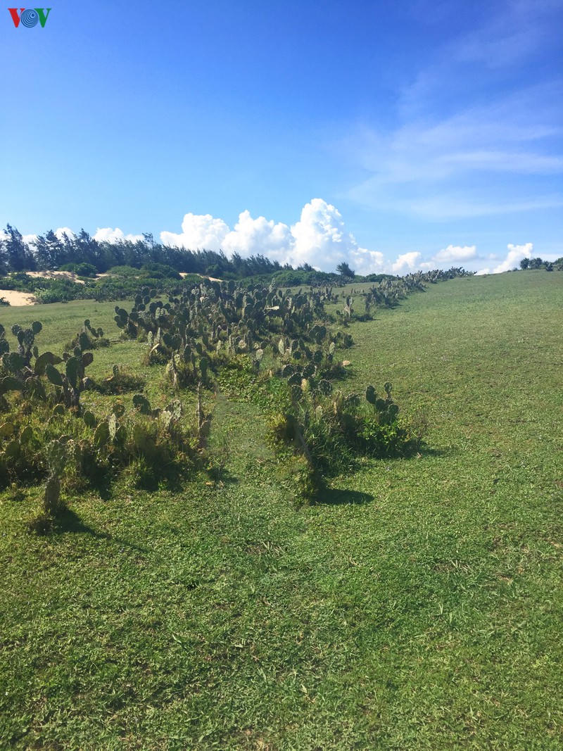 phu yen - tuyet tac ky dieu cua thien nhien hinh 2