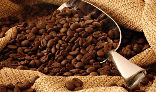 Ngành hàng cà phê có mô hình hợp tác PPP hiệu quả nhất trong lĩnh vực nông nghiệp.