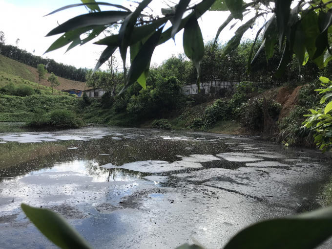 z2188216139055_96cb211cac03118c75569460d37e1d5b