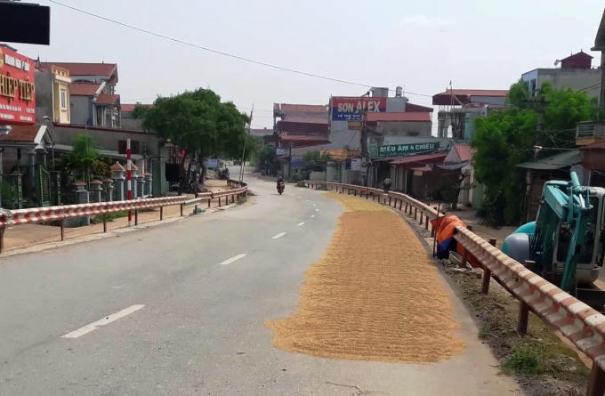 H&agrave; Nội: Mặt đường bị &ldquo;biến&rdquo; th&agrave;nh s&acirc;n phơi th&oacute;c l&uacute;a