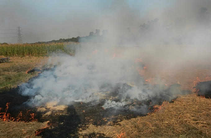 Thành phố 16 triệu dân New Delhi là một trong những thành phố ô nhiễm nhất thế giới. Chất lượng không khí ở đây thường trở nên tồi tệ vào thời điểm này hàng năm, khi các cánh đồng gần đó đốt rơm rạ sau vụ mùa. Ảnh: AP