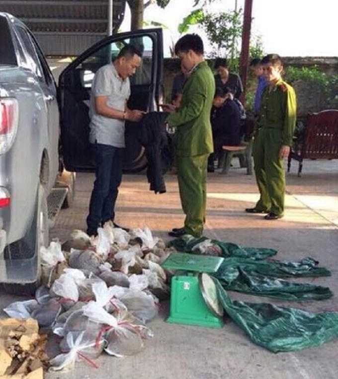 Tang vật bị lực lượng chức năng thu giữ.