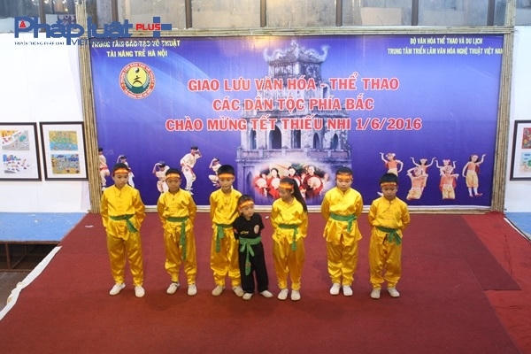 Dù còn nhỏ nhưng những tiết mục võ thuật của các em thiếu nhi khiến khán giả không khỏi ngạc nhiên và ngớt lời ngợi khen.