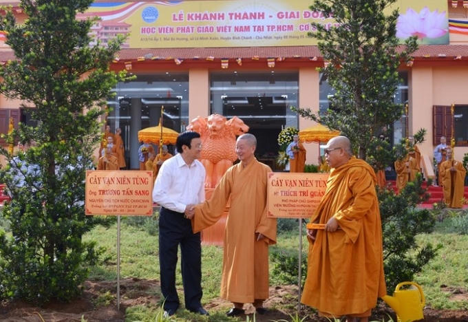 Hai cây vạn niên tùng được nguyên chủ tịch nước Trương Tấn Sang  trồng trước tòa nhà Hành chính của Học viện.