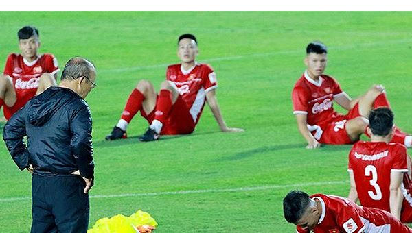 Tổng thư ký VFF nói về khả năng tái ký hợp đồng với HLV Park Hang-seo