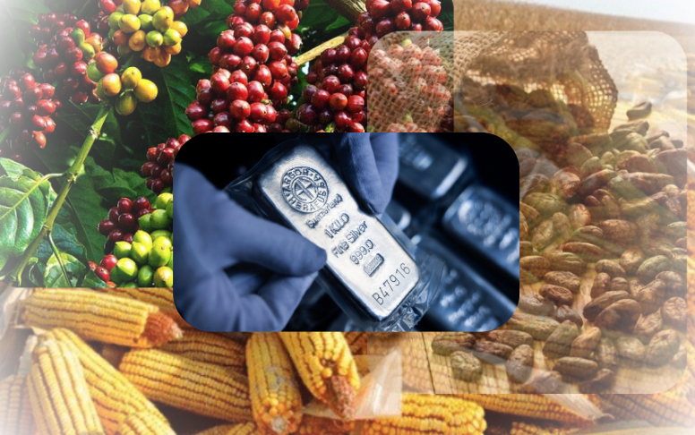 Bạc trở thành tâm điểm chú ý của thị trường kim loại khi ghi nhận cú lội ngược dòng ấn tượng.