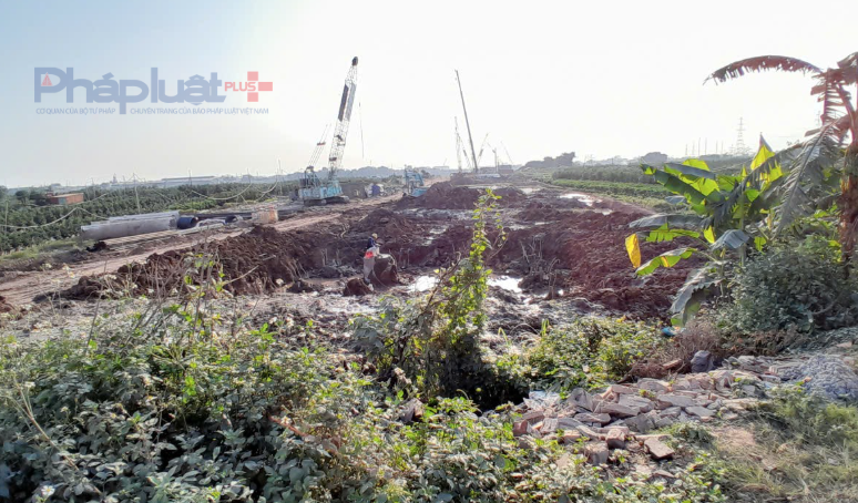 Theo thiết kế, cầu được xây dựng bằng bê tông cốt thép dự ứng lực, gồm 5 nhịp đúc hẫng vượt đê Hữu Hồng và sông Hồng (nhịp chính dài 155 m), các nhịp dẫn Super T và các nhịp đúc hẫng vượt đê với nhịp chính dài 90 m.