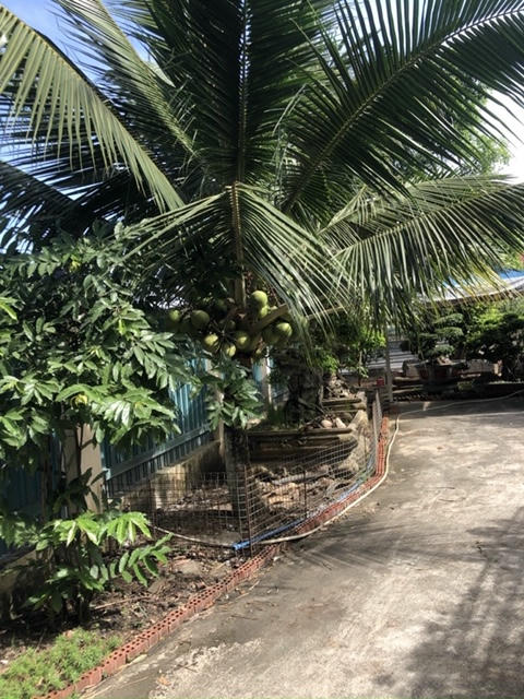 h1 (1).
