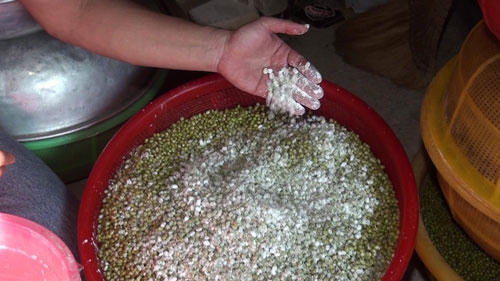 R&ugrave;ng m&igrave;nh c&ocirc;ng nghệ sản xuất gi&aacute; bằng thạch cao v&agrave; h&oacute;a chất