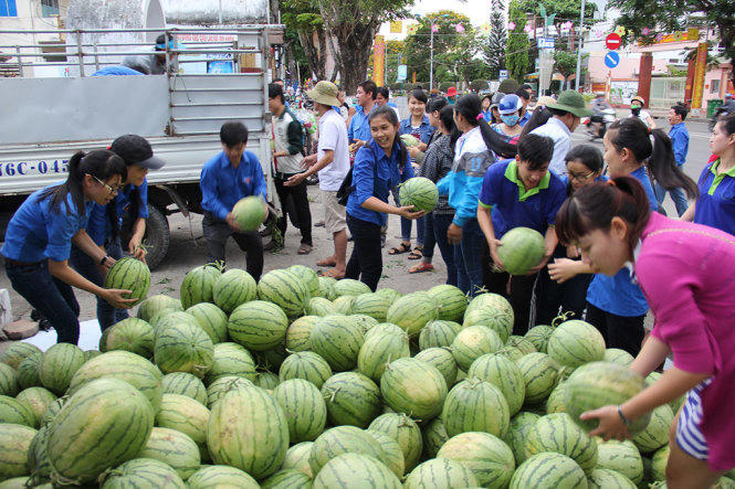 Không khí diễn ra rất khẩn trương vì thời tiết Quảng Ngãi đang vào những ngày mưa - Ảnh: TRẦN MAI