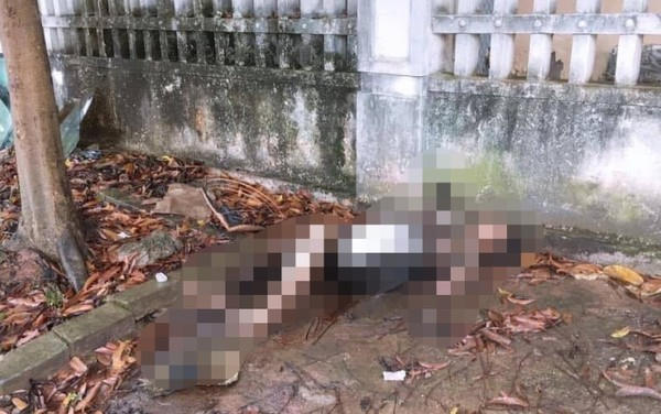 Hiện trường nơi phát hiện thi thể người phụ nữ chết bất thường.