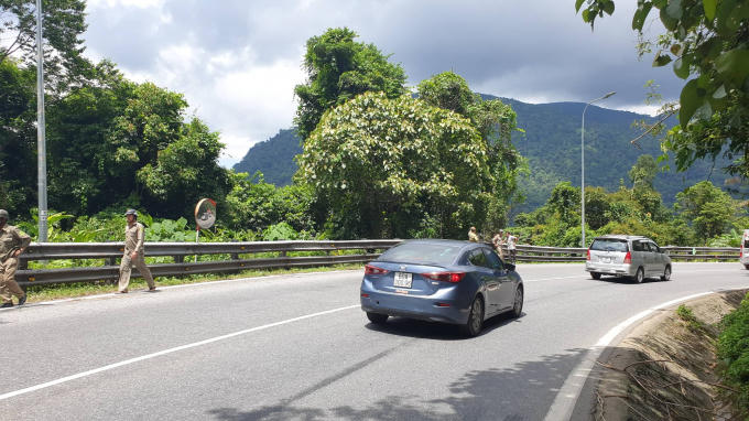 65042625_2306169769646141_2979869844930822144_n