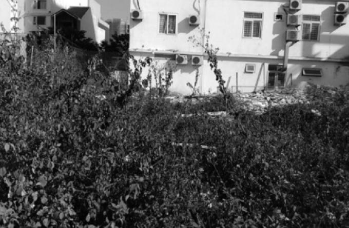 Lô đất tranh chấp.