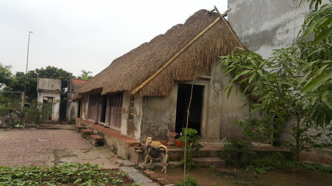 Nhà lợp mái bổi thực chất là được lợp từ cây cói, những cây cói đẹp được lựa chọn làm đồ thủ công mỹ nghệ, còn những cây cói xấu hay ngắn được tận dụng lợp mái nhà.