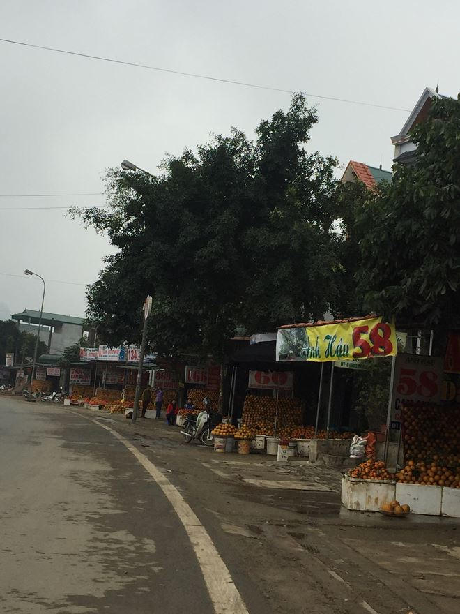 Cam Cao Phong ngon là cam có sắc màu đỏ thẫm hoặc vàng tươi, mọng nước
