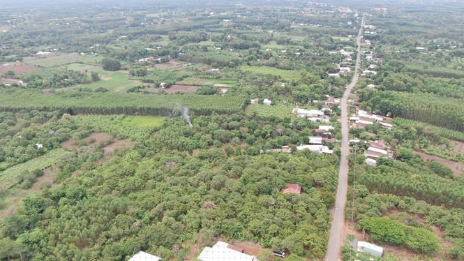 Gian nan giải tỏa mặt bằng sân bay Long Thành - ảnh 2