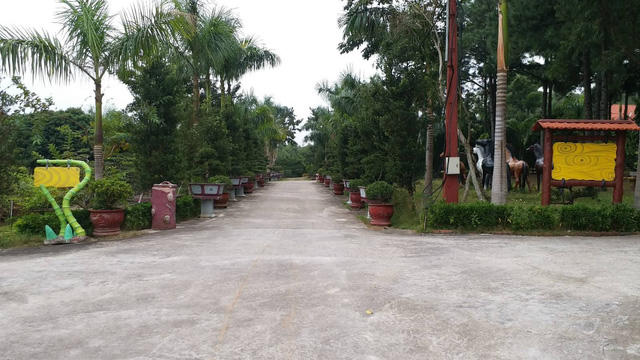 Lối cổng dẫn vào biệt phủ.